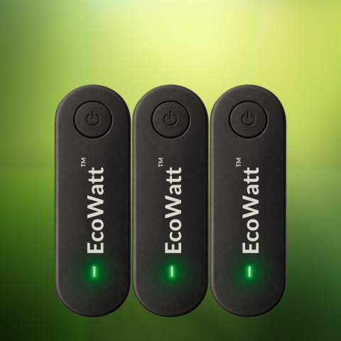 EcoWatt™