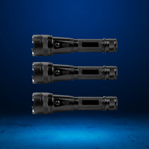 GuardVolt™