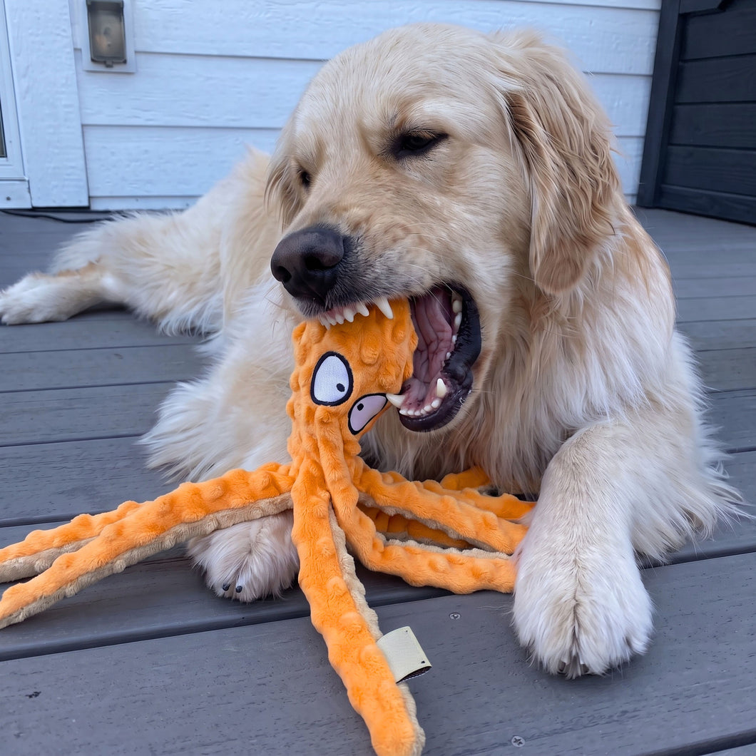 OctoPaws™
