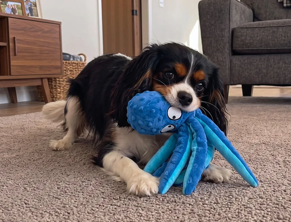 OctoPaws™